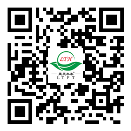 手机网站二维码