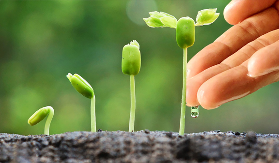 蓝天化科技肥业