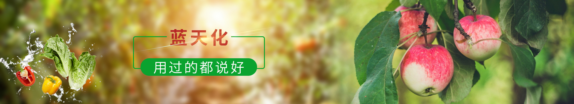 蓝天化肥业—开创中国现代农业新篇章,农业生产整体解决方案专家