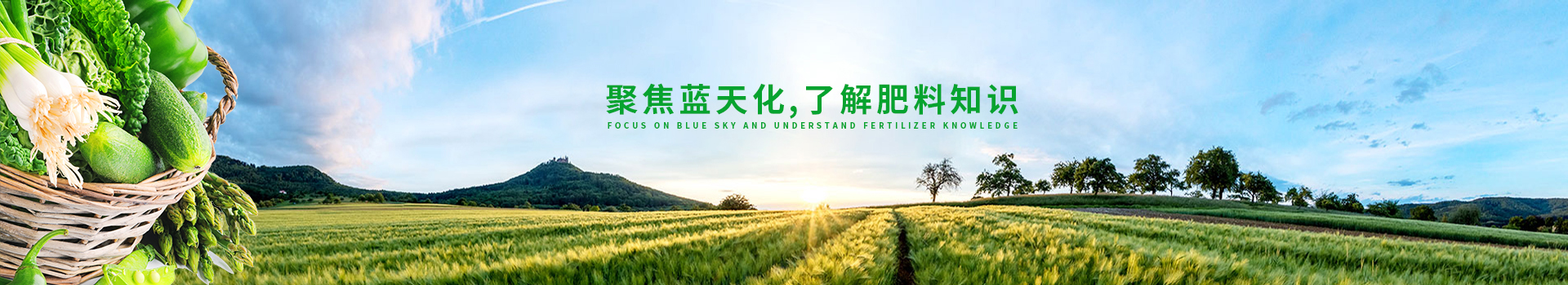 蓝天化肥业—开创中国现代农业新篇章,农业生产整体解决方案专家