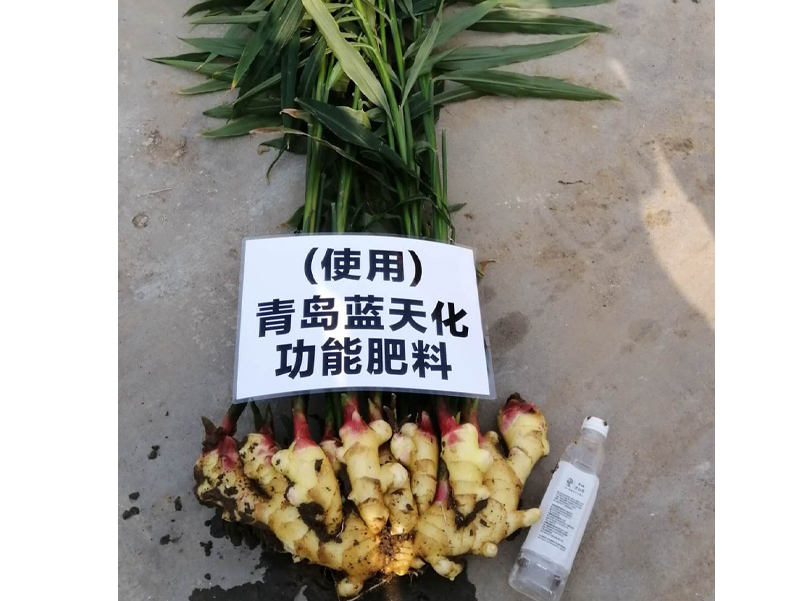 蓝天化科技肥业客户案例