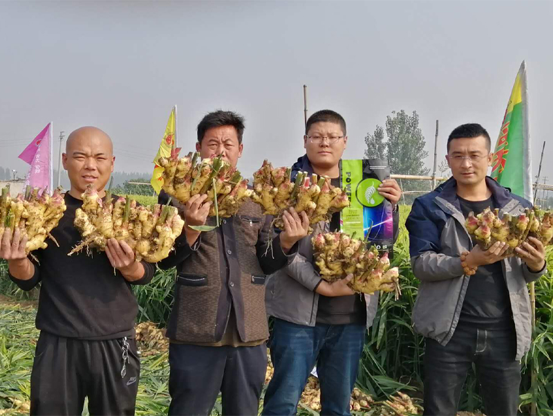 蓝天化科技肥业客户案例